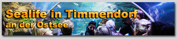 Sealife Timmendorf an der Ostsee